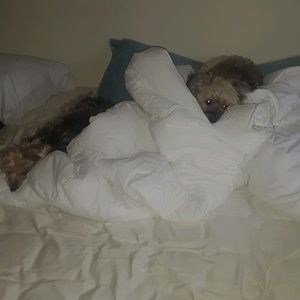 Meet your Posher, Cindy